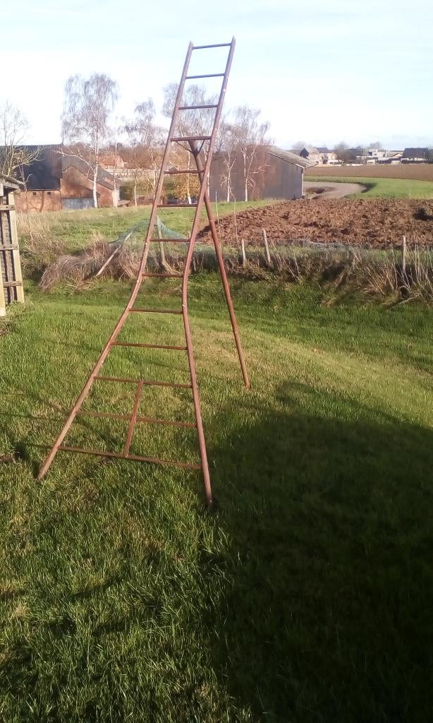 Fruitladders, Doe-het-zelf en Bouw, Ladders en Trappen, Ophalen, Gebruikt, 2 tot 4 meter