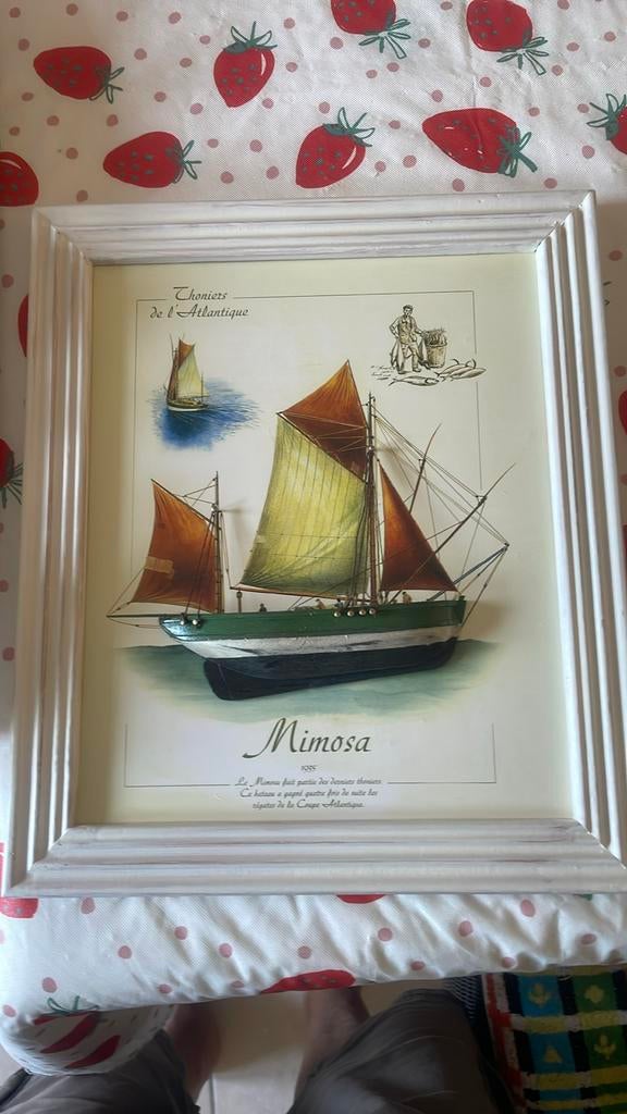 Mimosa 1935 schip 3d, Antiek en Kunst, Ophalen of Verzenden