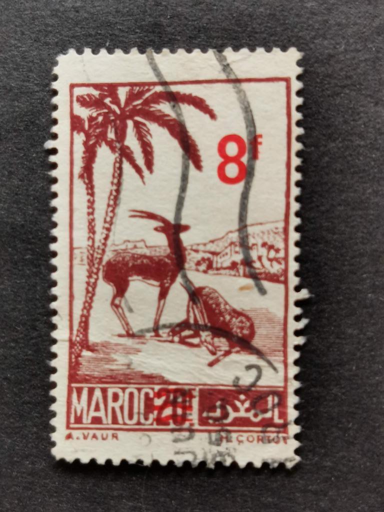 Marokko 1948 - wilde dieren - gazelle - met opdruk, Postzegels en Munten, Ophalen of Verzenden, Marokko, Gestempeld