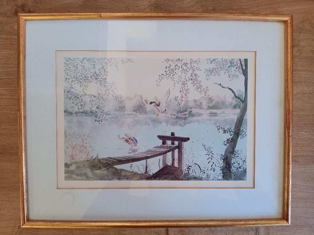 Frame met aquarelvijver + eenden, Antiek en Kunst, Kunst | Schilderijen | Klassiek, Ophalen