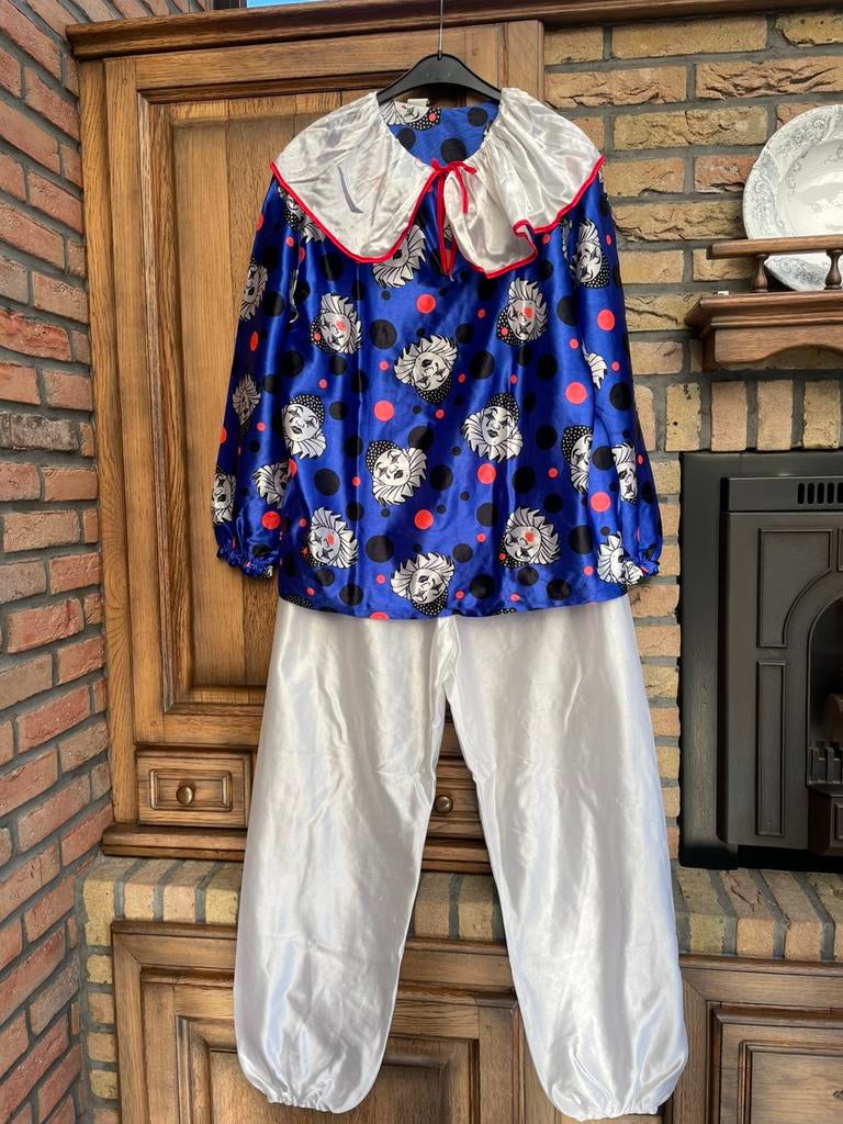 Carnaval clown, Kleding | Dames, Ophalen, Zo goed als nieuw, Maat 42/44 (L)