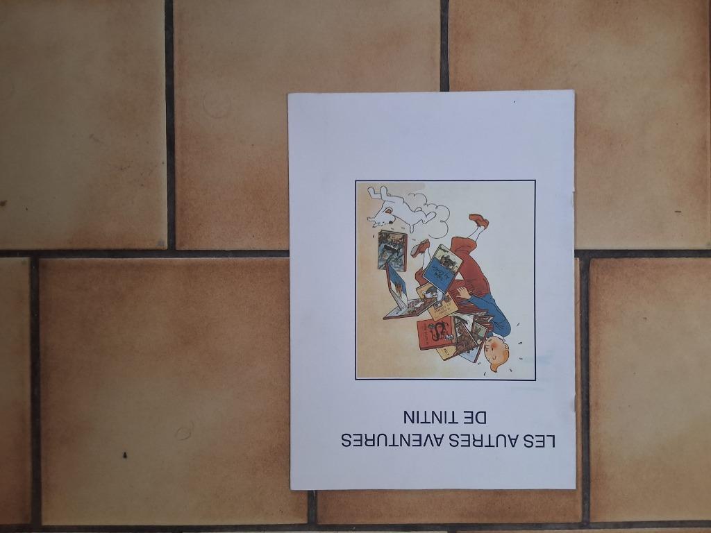 Tintin, Enlèvement ou Envoi, Tintin
