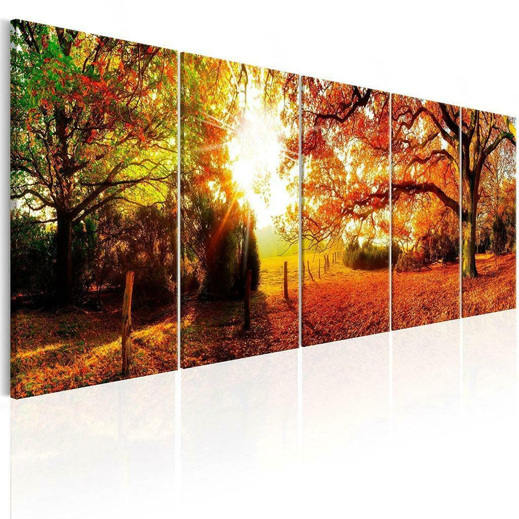 5 Delig schilderij op canvas Herfstbos Natuur 240 x 90 cm, Verzenden, Nieuw, Schilderij