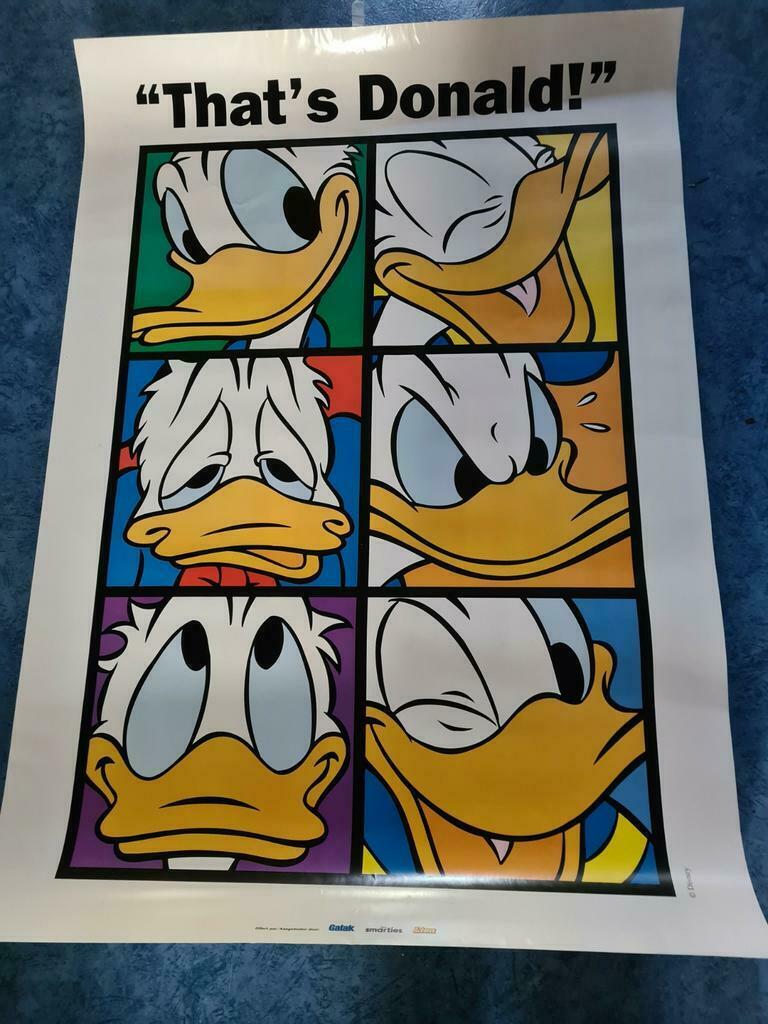 Disney Poster Donald, Ophalen of Verzenden, Zo goed als nieuw