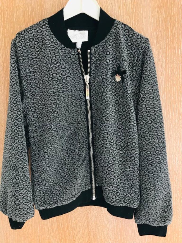 Pull LE CHIC - zilver gespikkeld - maat 104 (nr477), Meisje, Le Chic, Trui of Vest, Ophalen of Verzenden