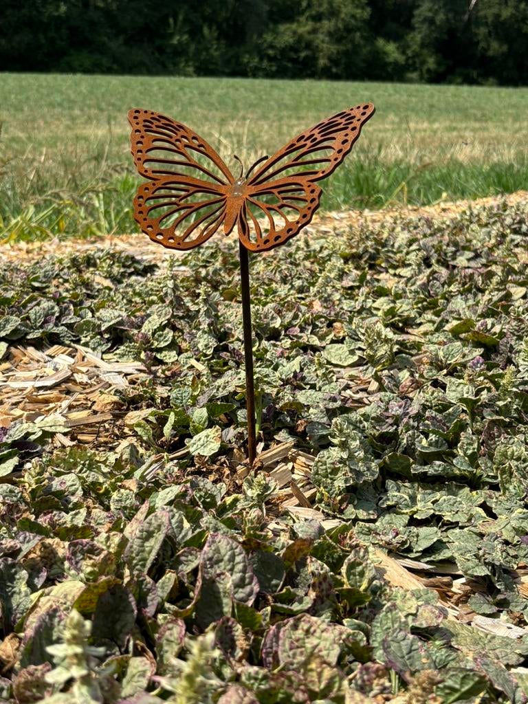 Papillons en acier Corten, Enlèvement