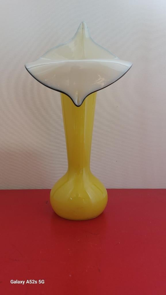 Prachtige Tulpen Vaasje., Ophalen of Verzenden