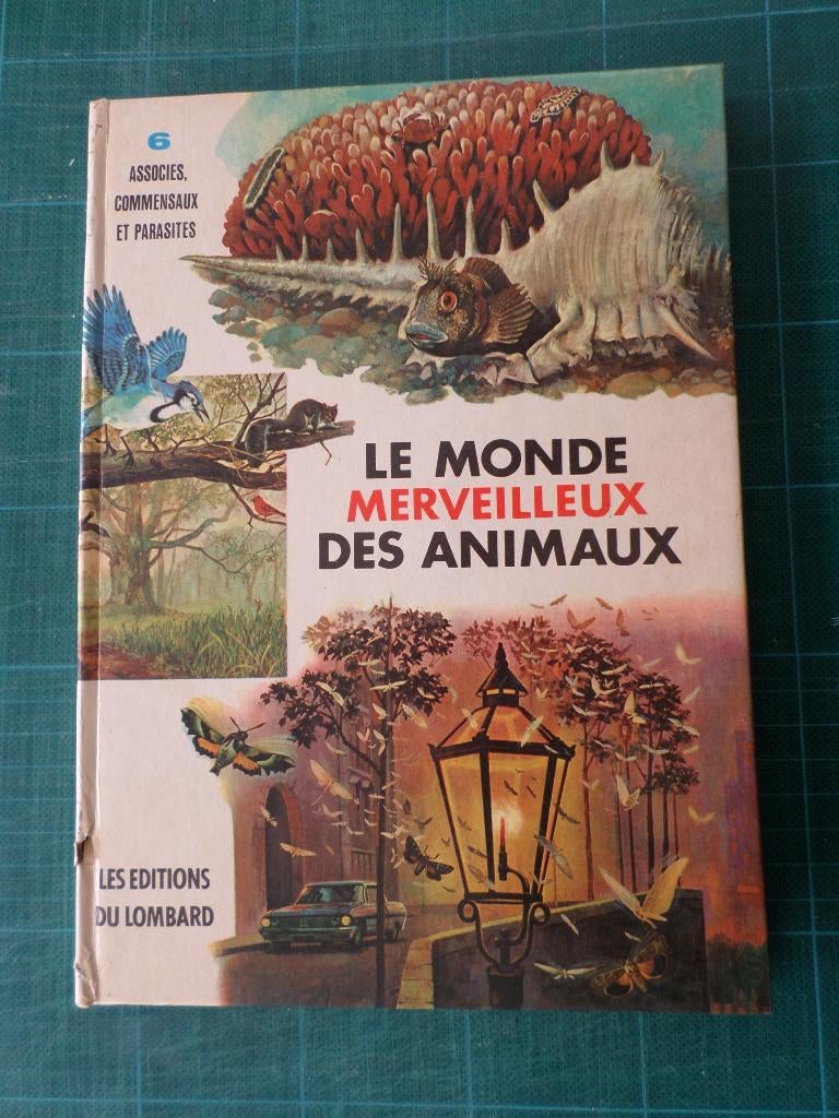 Le monde merveilleux des animaux (n°6) – 1966 – 93 pages, Enlèvement ou Envoi, André Fernez, Utilisé, Non-fiction