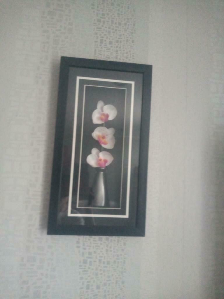 3 d orchideeën frame