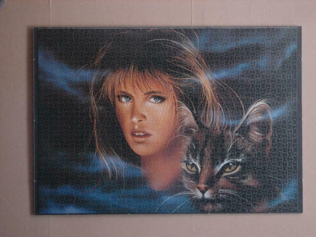 Cadre décoration (chat) sur base d'un puzzle, Maison & Meubles, Enlèvement, Utilisé, Autres matériaux