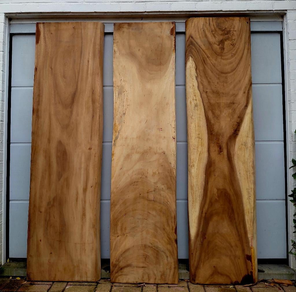 Boomstambladen in suar., Doe-het-zelf en Bouw, Hout en Planken, Ophalen of Verzenden, Nieuw