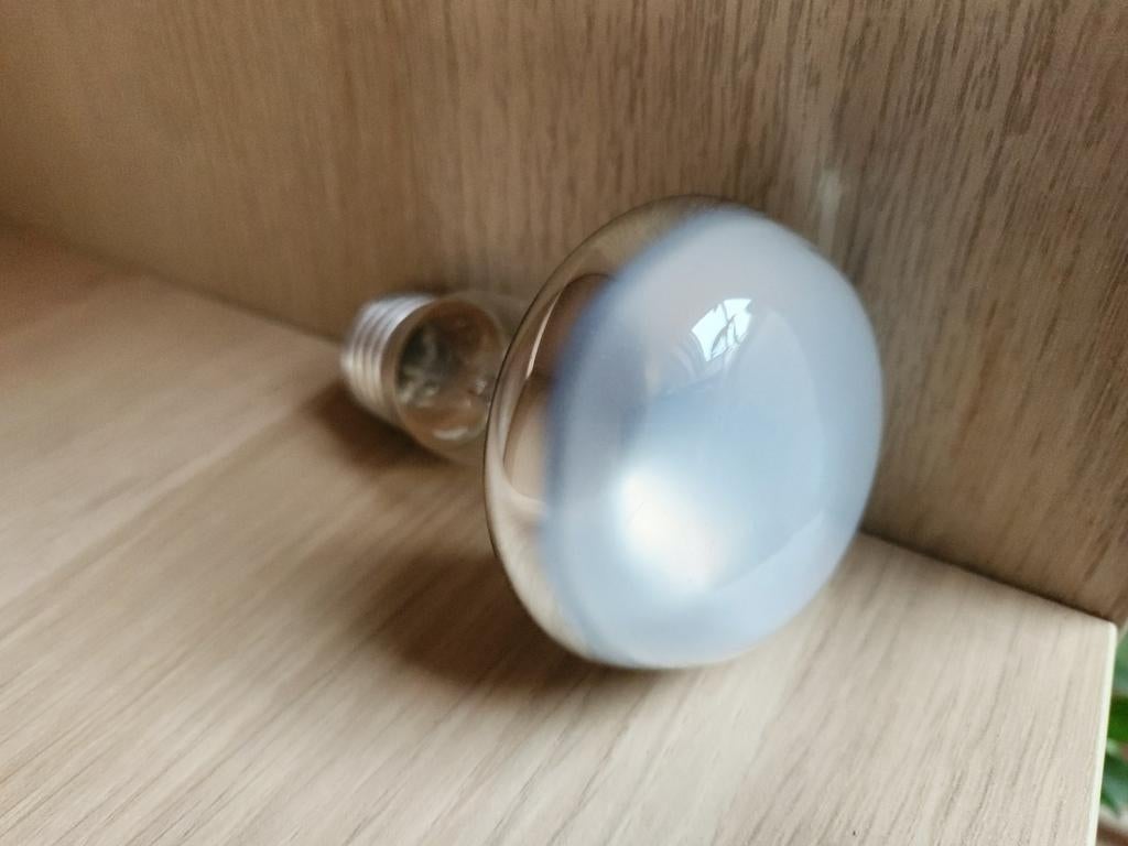 ZooMed Basking Spot Lampe Chaufffante 40W, Enlèvement ou Envoi, Comme neuf, Spot encastrable ou Spot mural