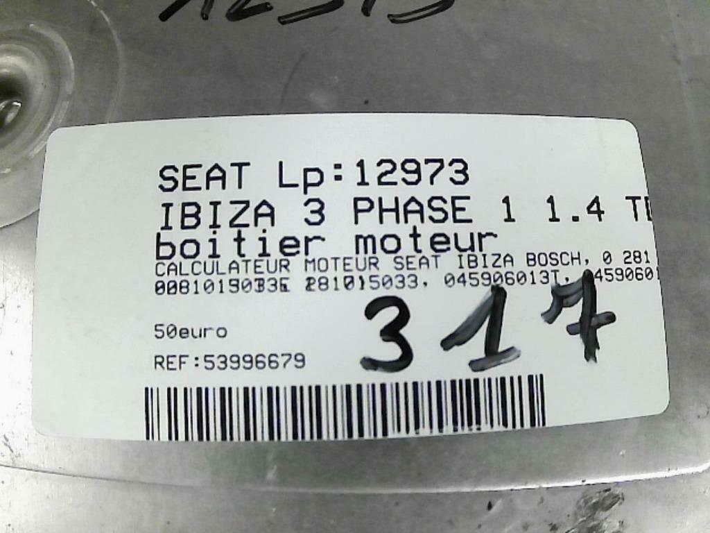 Boitier moteur Seat Ibiza 3 1.4TDi 59kw 0281015033 (317), Ophalen of Verzenden, Gebruikt, Seat