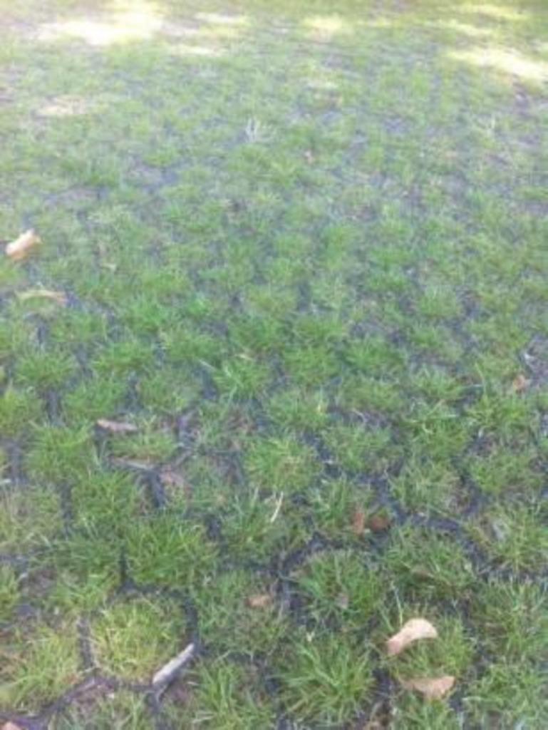 Grastegel grasdallen tegel gras parkeren, Tuin en Terras, Ophalen of Verzenden, Nieuw, Gras