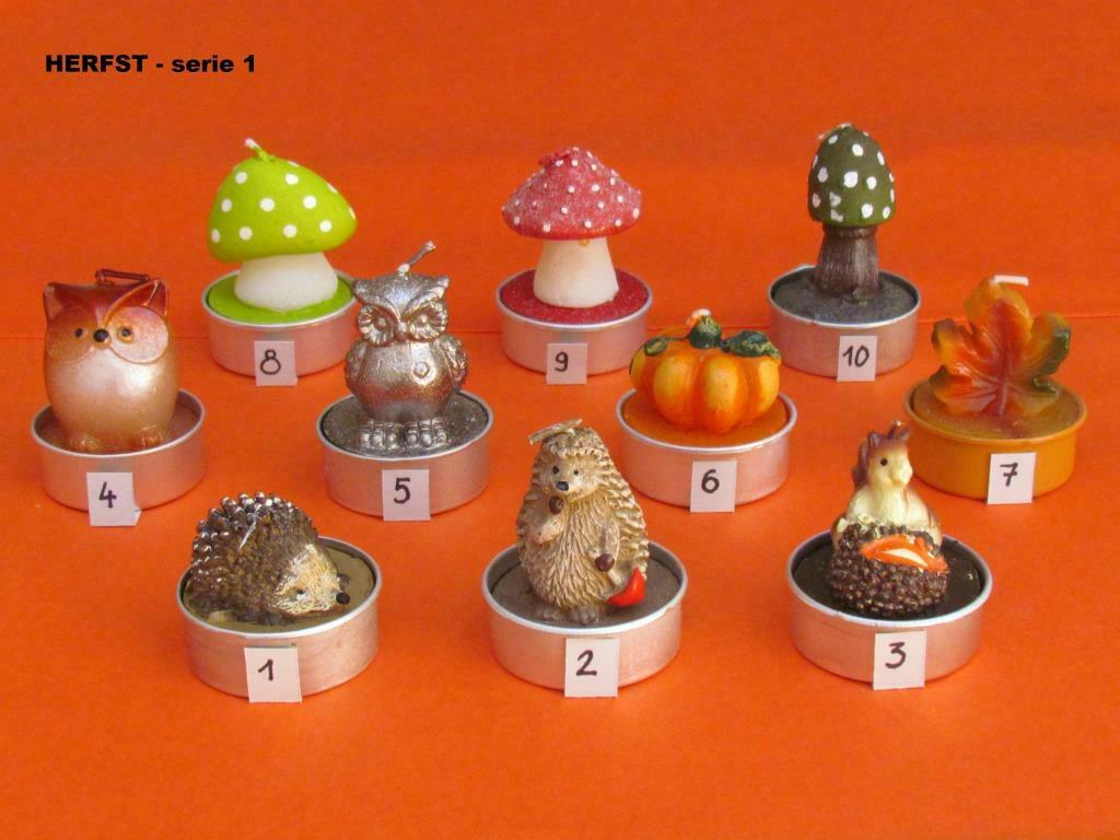 Herfst theelichtjes - serie 1, Enlèvement ou Envoi, Neuf, Bougie