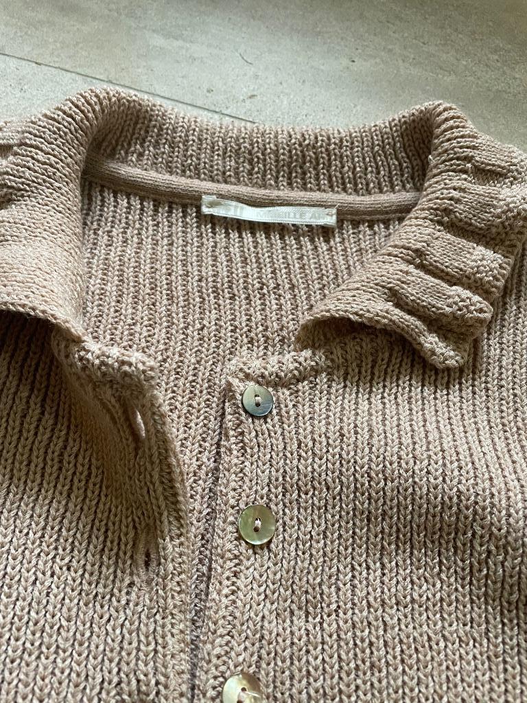 Mooie pull, gilet, golf maat 38/40, Maat 38/40 (M), Ophalen of Verzenden, Zo goed als nieuw, Mireille AHN