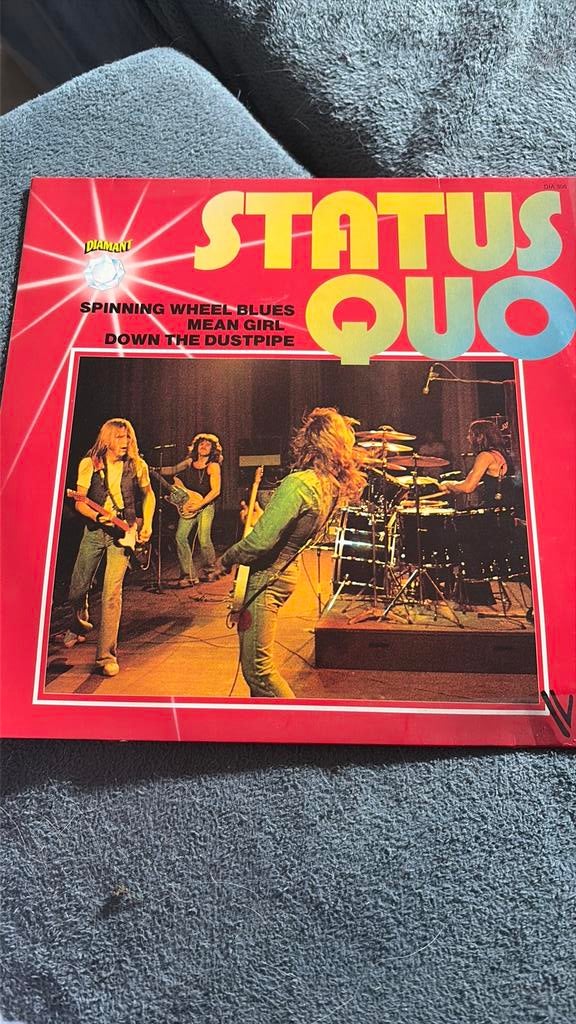 Disque vinyle LP, CD & DVD, Enlèvement ou Envoi, Utilisé, 12 pouces, Autres genres