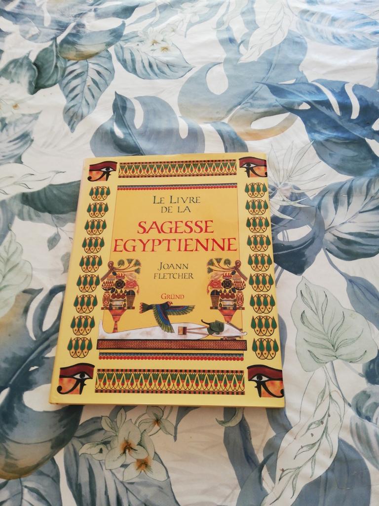 Le livre de la sagesse égyptienne. Joann Fletcher., Enlèvement ou Envoi, Comme neuf