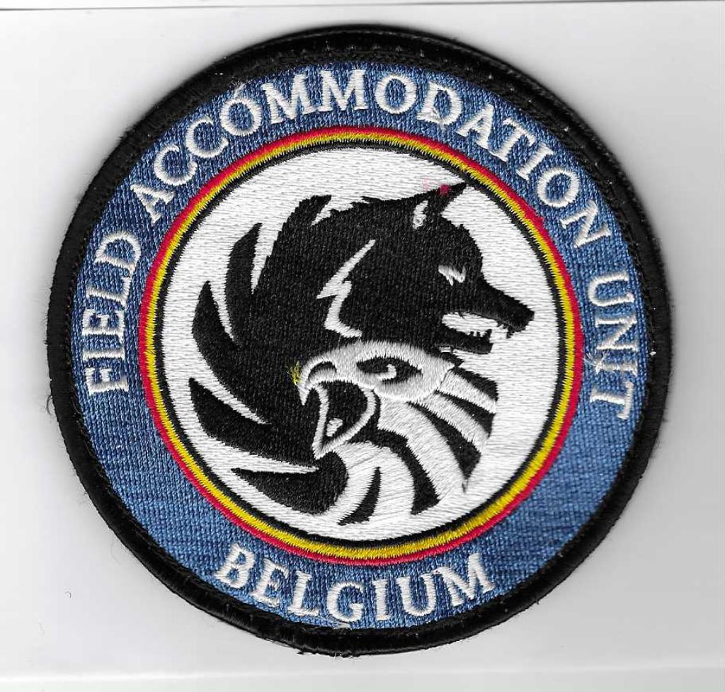 MILITARIA, Envoi, Armée de l'air, Emblème ou Badge
