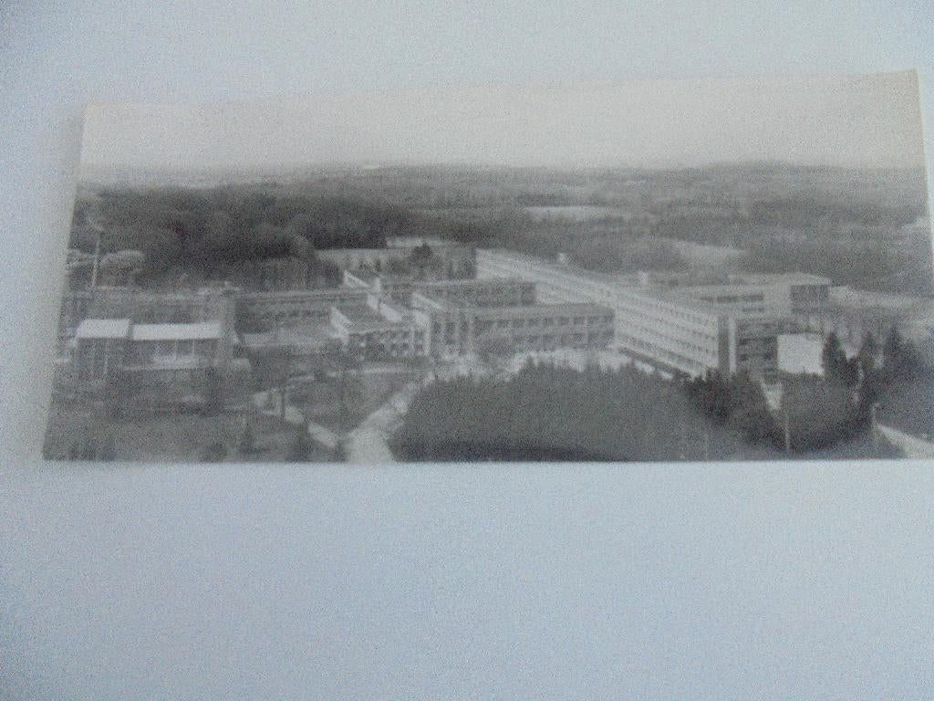 turnhout - sint jozefcollege, Verzamelen, Ophalen of Verzenden, 1940 tot 1960, Ongelopen, Antwerpen