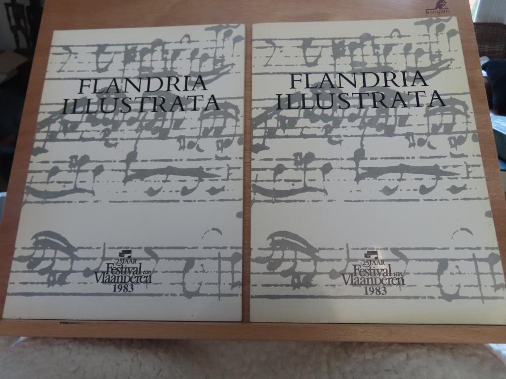 NIEUWSTAAT : Flandria Illustrata 8 Confrontaties / 25 jaar F, Beeldhouwkunst, Ophalen of Verzenden, Zo goed als nieuw, Johan Van Cauwenberge