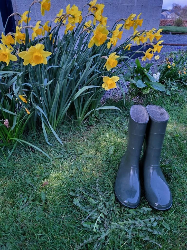 Bottes en caoutchouc Lara pointure 36, Enlèvement ou Envoi, Utilisé, Bottes
