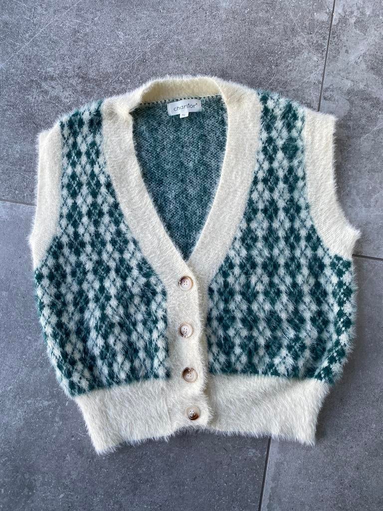 Charlior (zoals bellerose ) geruit gilet trui maat S/M nieuw, Nieuw, Ophalen of Verzenden, Maat 36 (S), Charlior