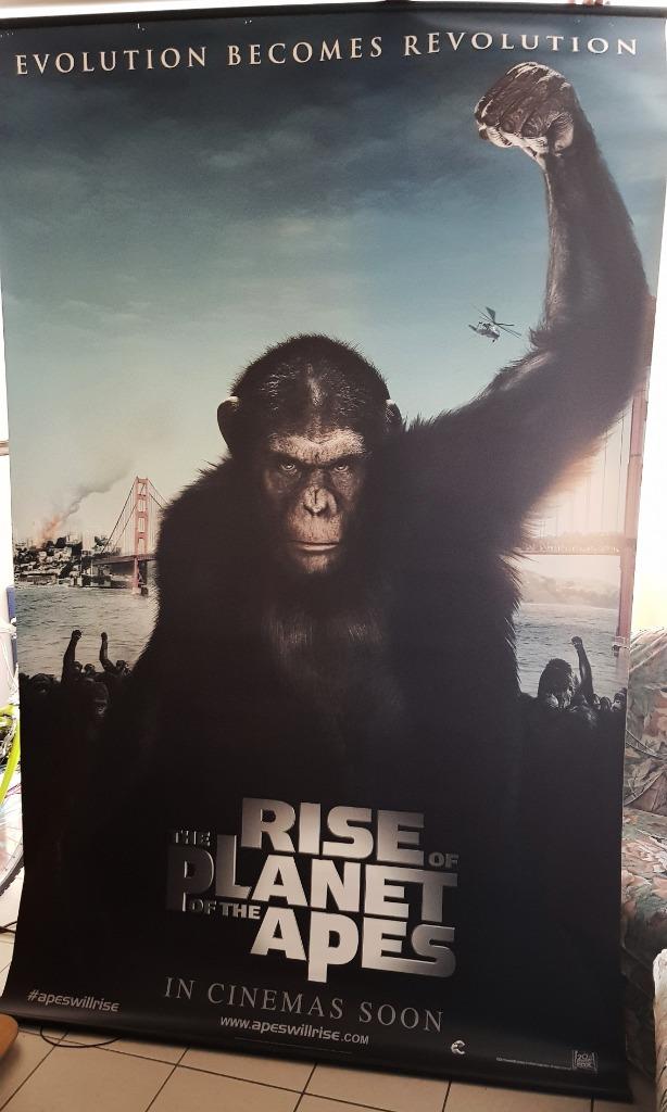 Banner Rise of The Planet Of The Apes, Verzamelen, Posters, Ophalen, Rechthoekig Staand, Deurposter of groter, Zo goed als nieuw