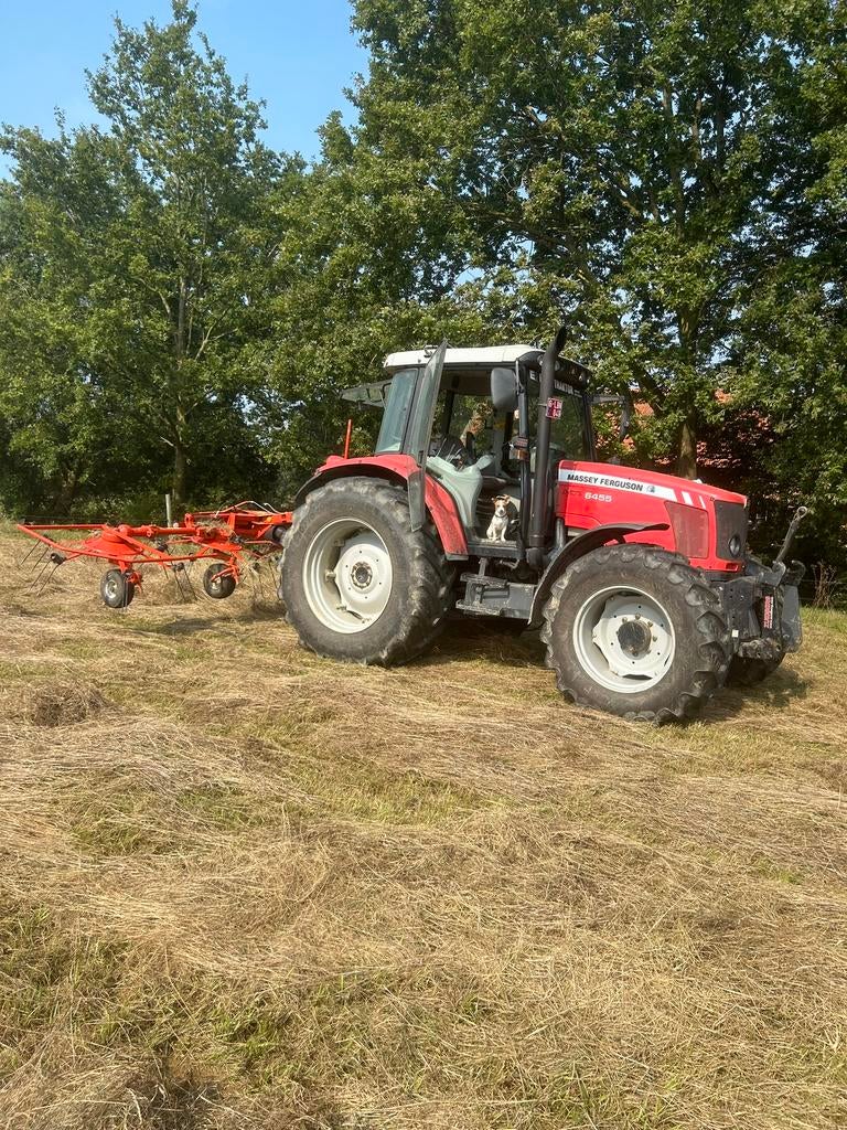 Gezocht:weide grasland, Weidegang