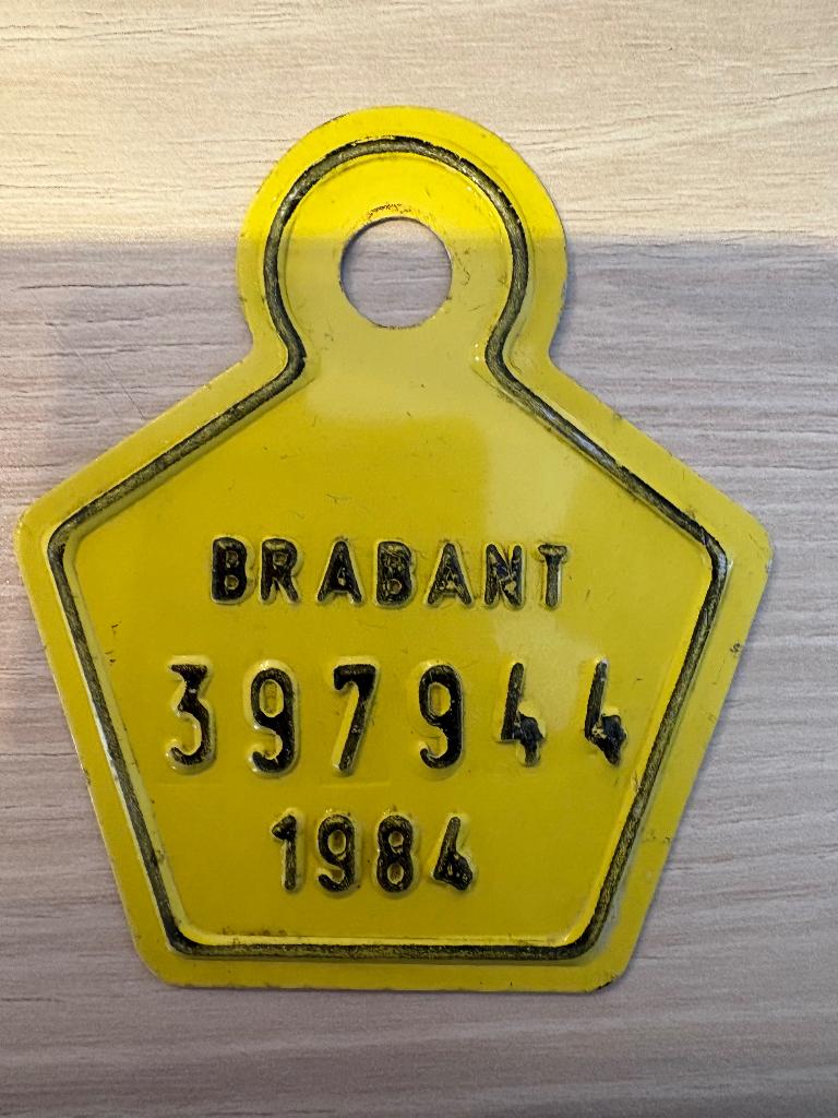 Oude fietsplaat, Verzamelen, Overige Verzamelen, Ophalen of Verzenden, Gebruikt