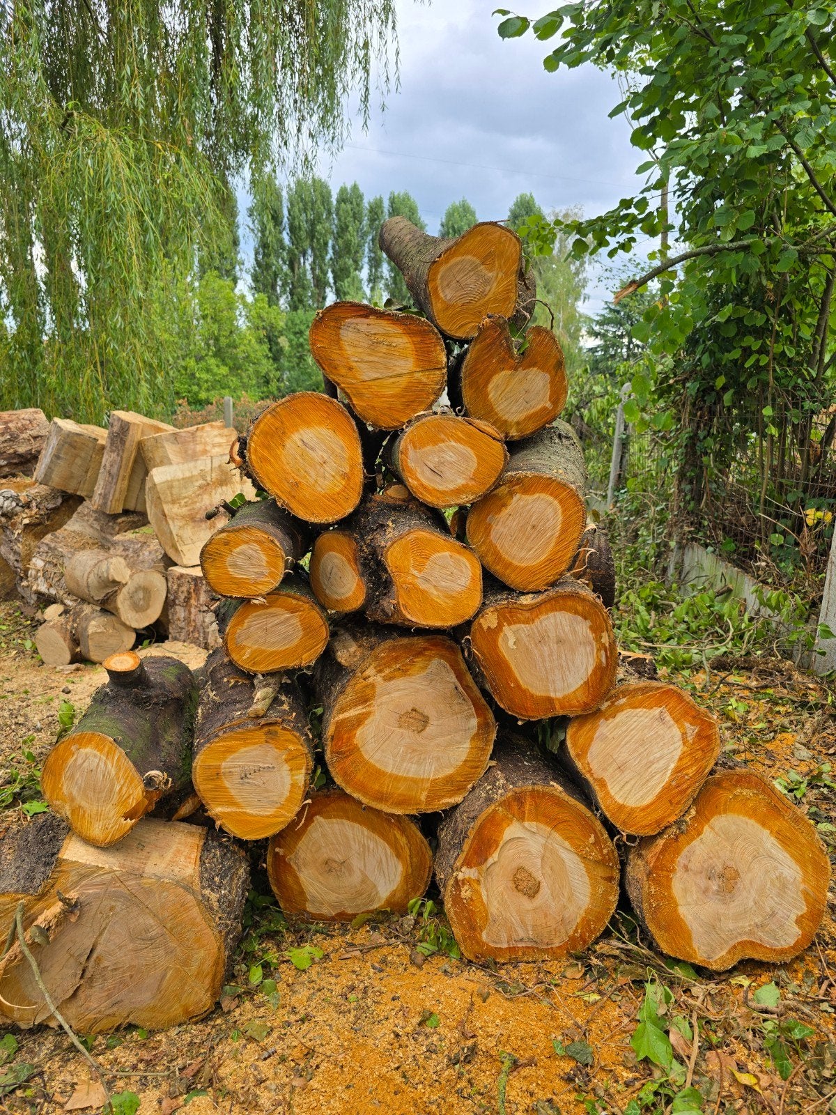 BOIS DE CHAUFFAGE, Jardin & Terrasse