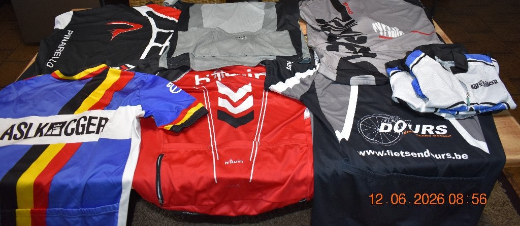 wielerkleding, Fietsen en Brommers, Fietsaccessoires | Fietskleding, Ophalen, Gebruikt, Heren, L