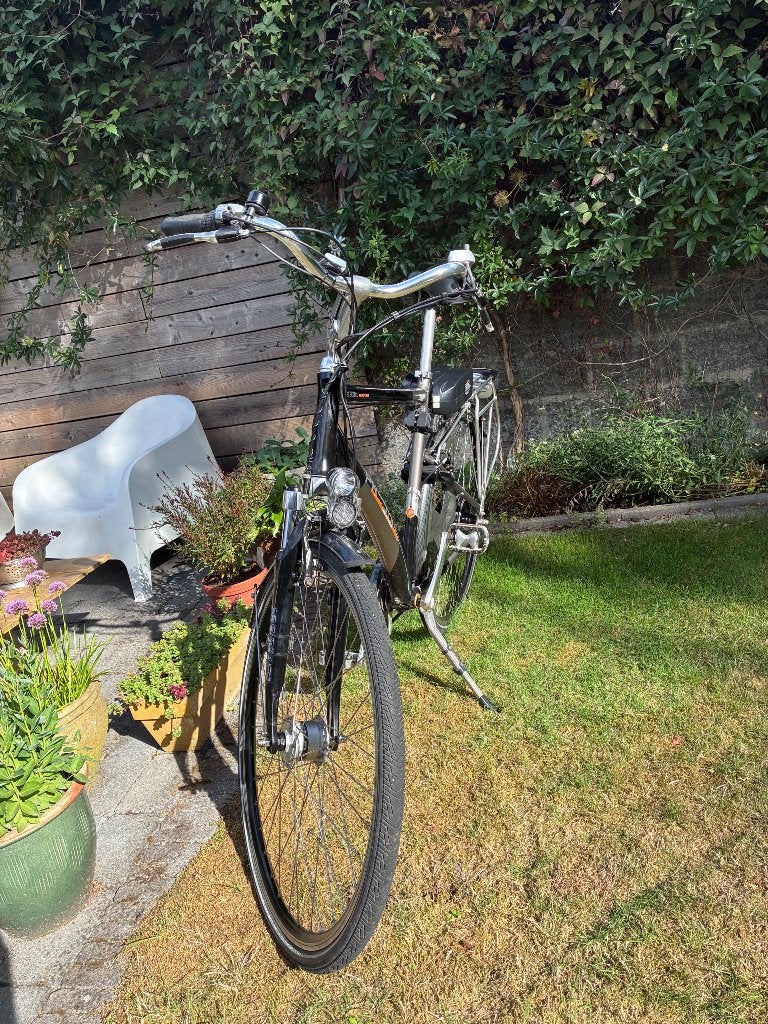 Elektrische fiets Prestige mannen, Autres marques, Enlèvement, 55 à 59 cm, Moins de 30 km par batterie