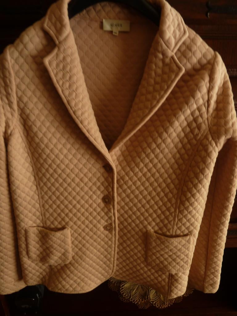 Leuk vestje  Gique, Kleding | Dames, Overige kleuren, Maat 42/44 (L), Ophalen of Verzenden, Gique