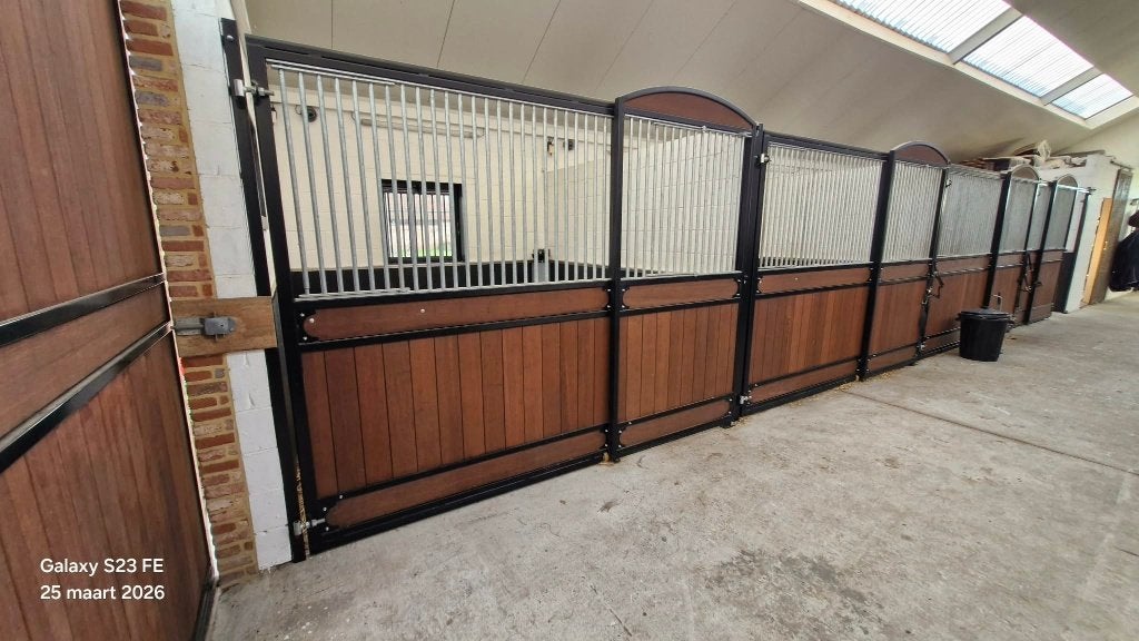 Stallen vol pension te huur en veulenopfok., Animaux & Accessoires, Chevaux