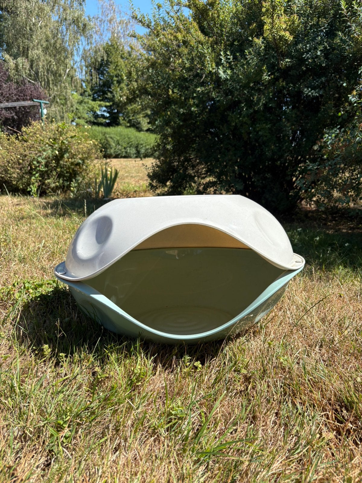 Maison pour chat, Enlèvement