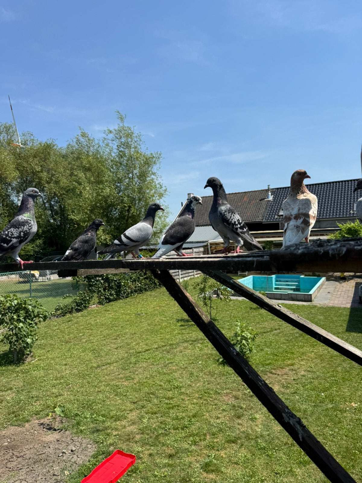 Gratis duiven, Watersport en Boten, Boottrailers, Ophalen, Zo goed als nieuw