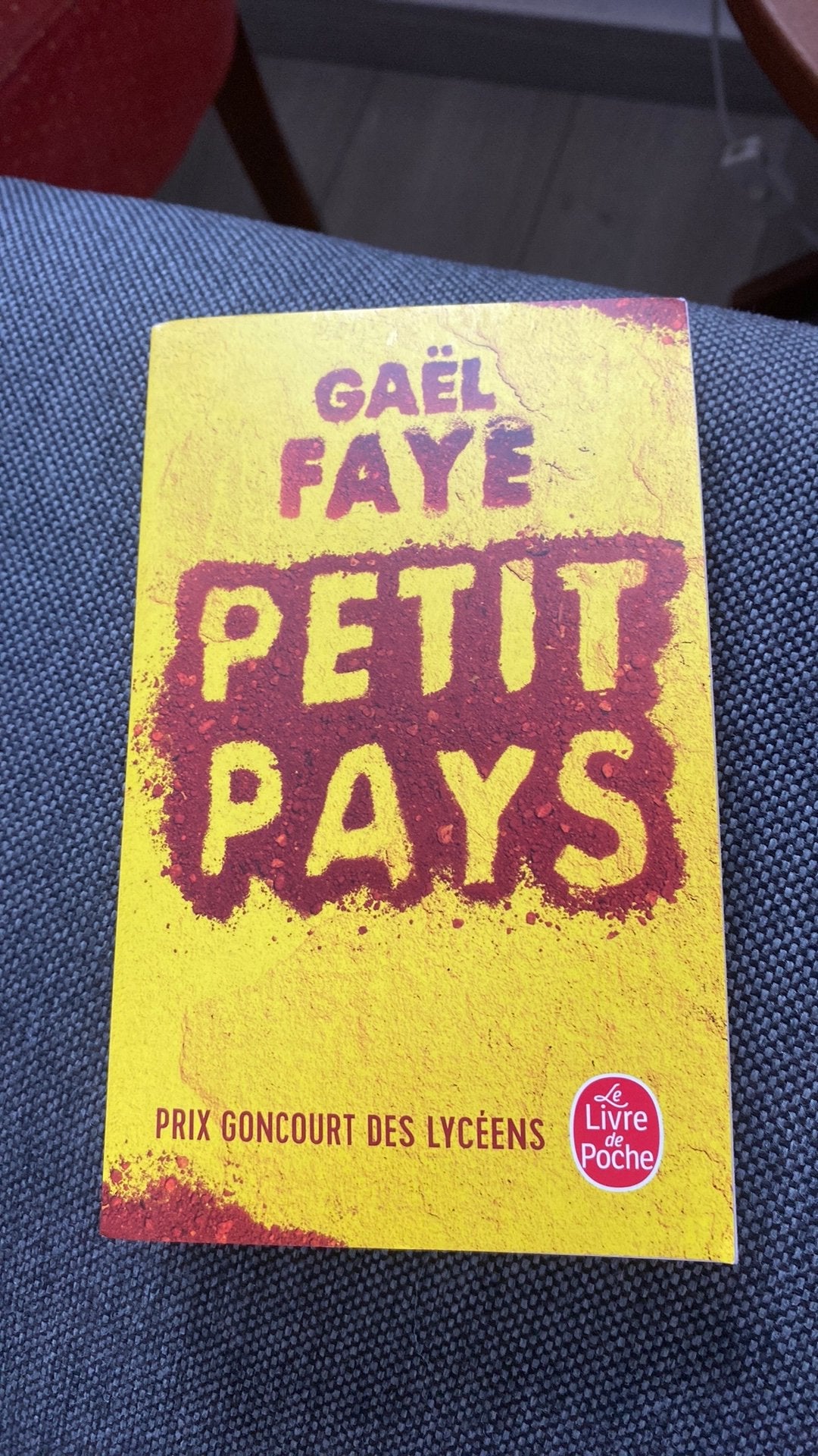 Petit pays”gael faye”, Livres, Enlèvement, Comme neuf