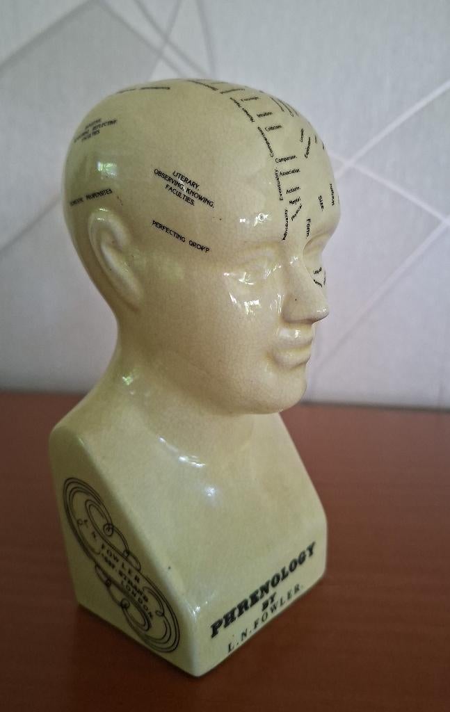 sculptuur L.N Fowler   Phrenology by L.N.Fowler, Verzenden