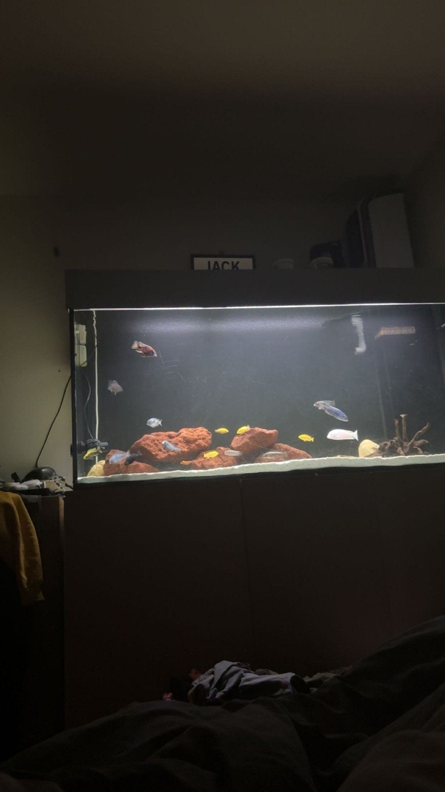 zoutwater aquarium 500l, Ophalen, Gebruikt, Leeg aquarium