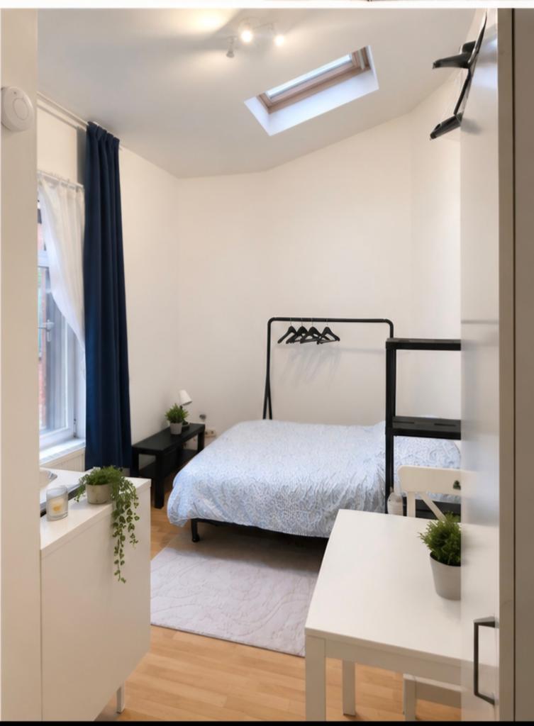 Schitterend gemeubileerde studio te huur — Anderlecht, 20 tot 35 m², Brussel