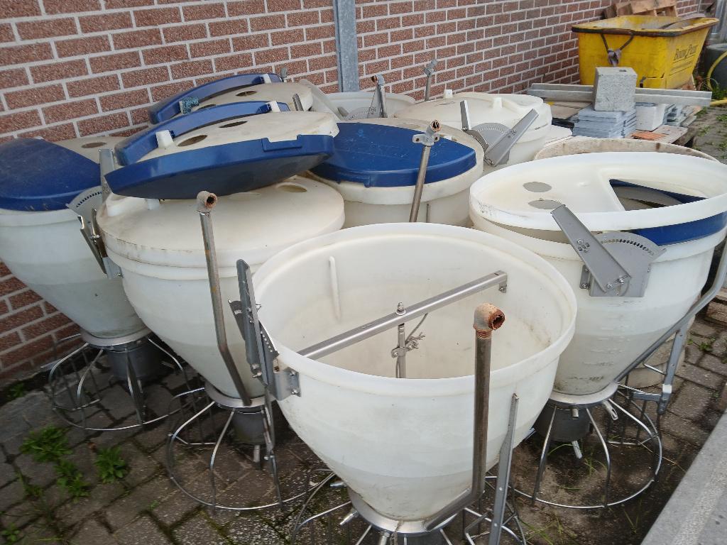 Roxel, Dieren en Toebehoren, Varken
