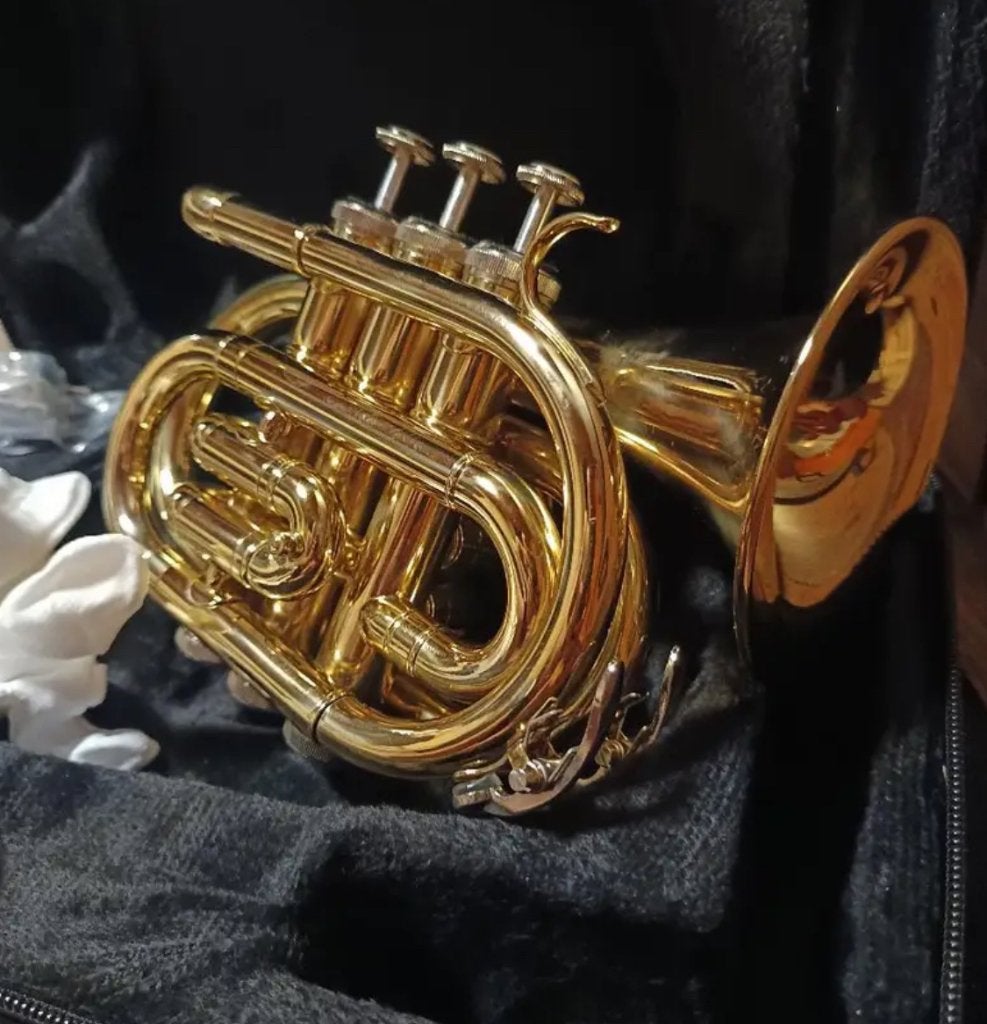 Vigorea P1 zaktrompet BB messing, Muziek en Instrumenten, Ophalen of Verzenden, Zo goed als nieuw, Overige typen