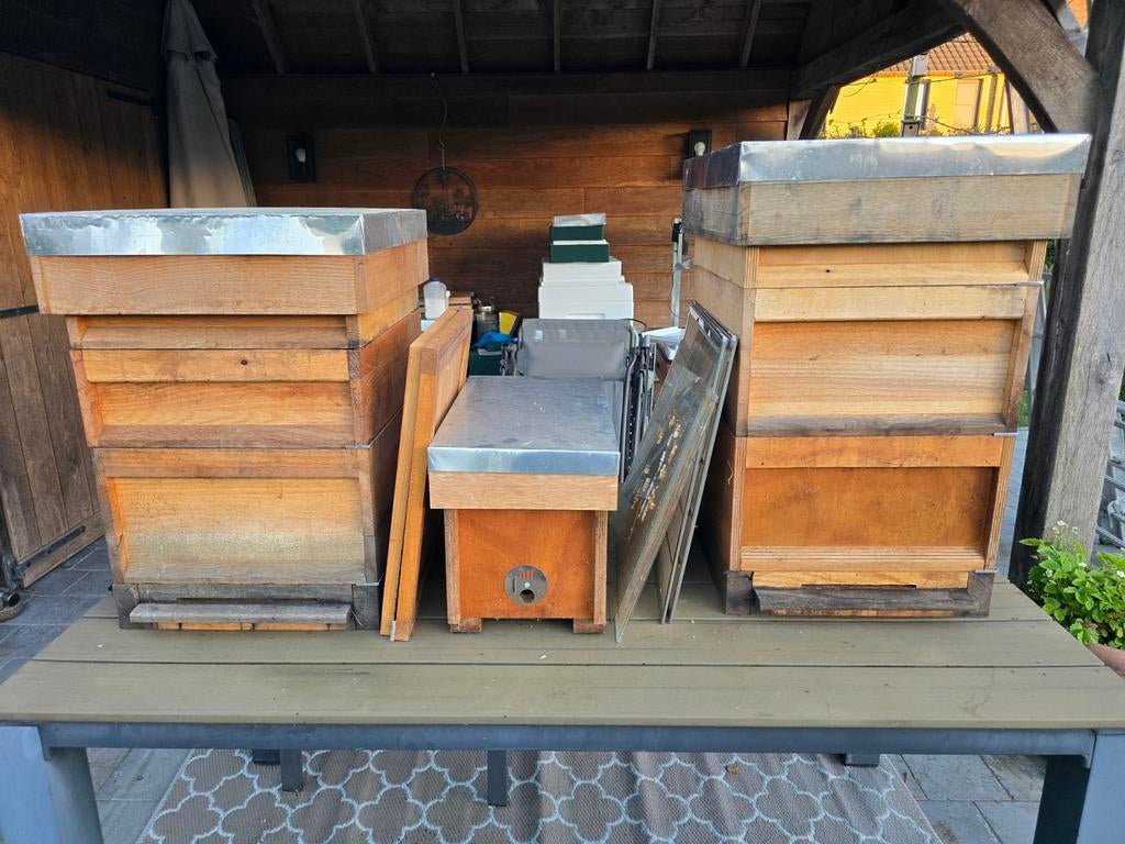 Bijenkasten spaarkast/simplex, Dieren en Toebehoren, Insecten en Spinnen