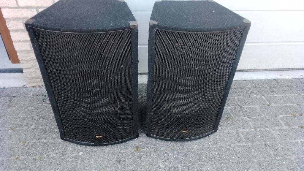 Mooie disco boxen 300 Watt RMS vermogen koopje, Audio, Tv en Foto, Luidsprekerboxen, Ophalen