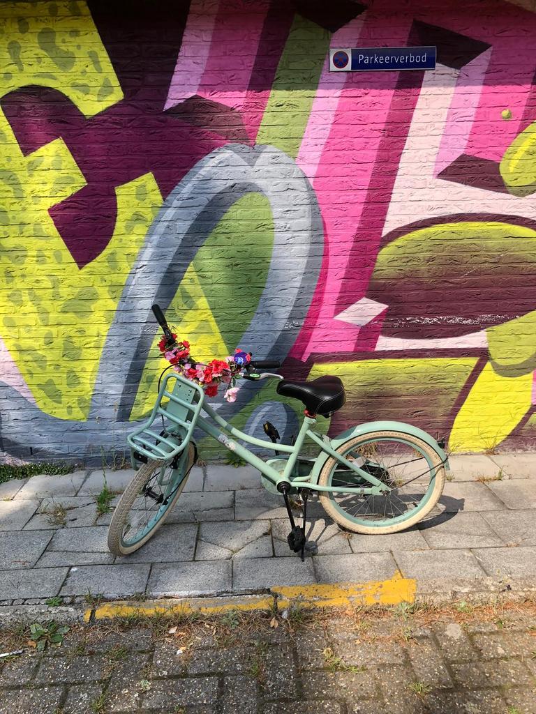 Kinderfiets, Fietsen en Brommers, Ophalen, Zo goed als nieuw, 20 inch