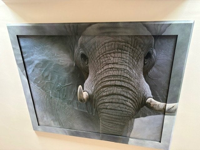 Lijst met kader van een  Olifant, Huis en Inrichting, Ophalen, Zo goed als nieuw, Kunststof