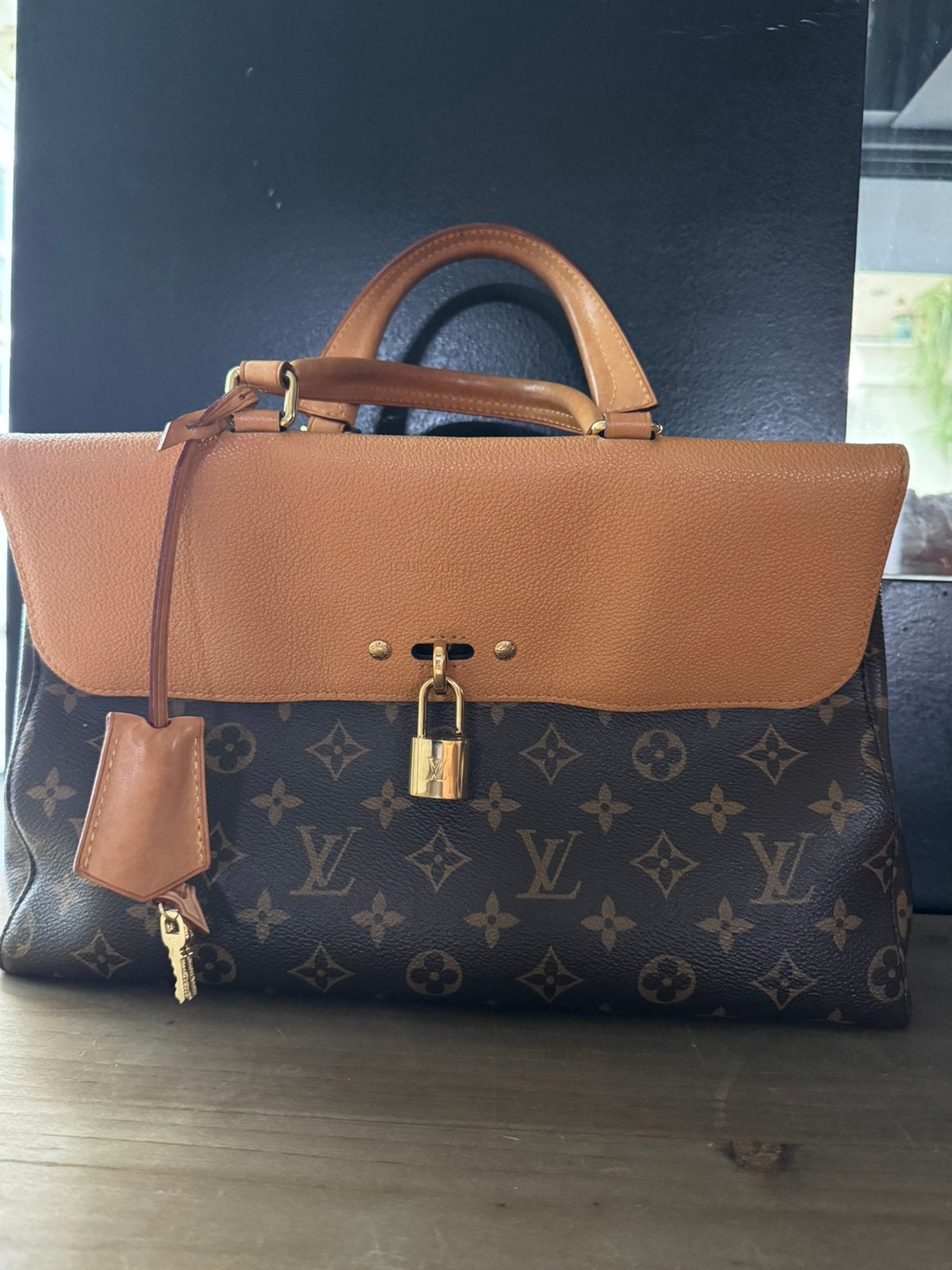 1er propriétaire : Sac Louis Vuitton Venus - Monogramme, Enlèvement ou Envoi, Utilisé, Sac à main