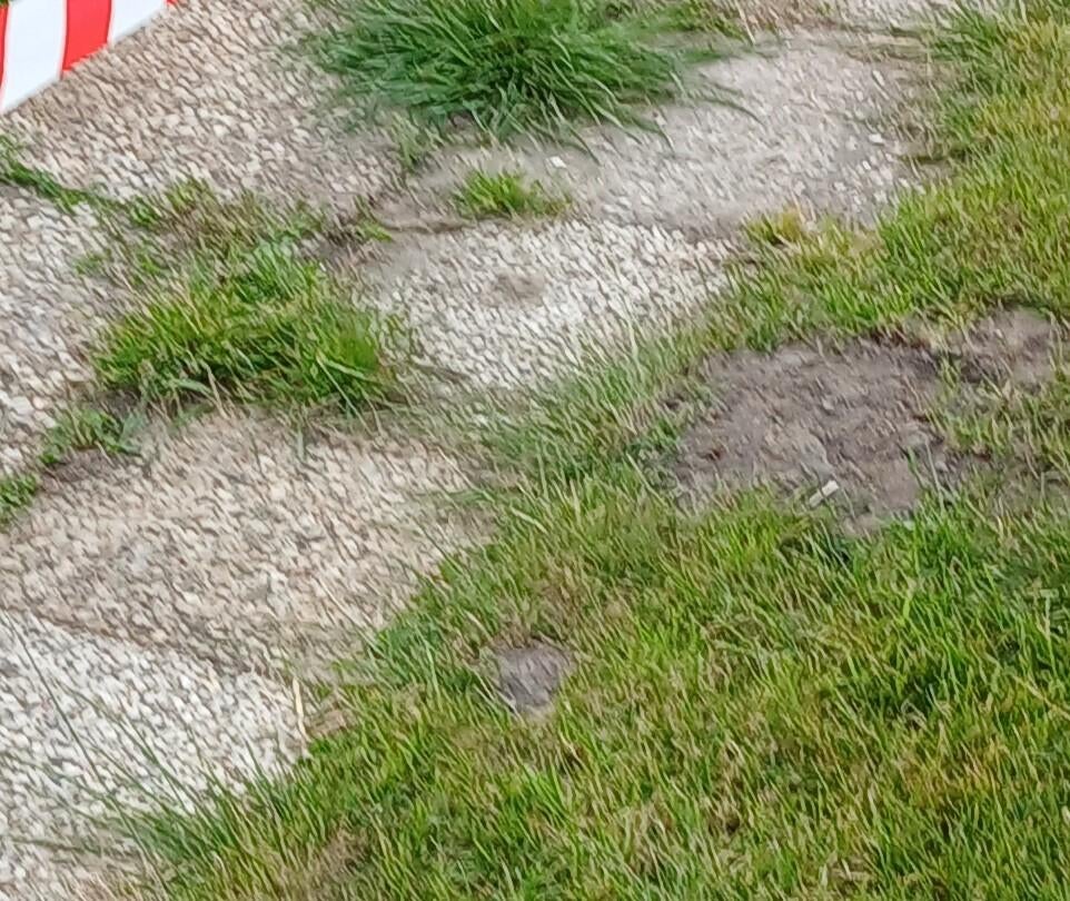 Stapstenen 40/40 ong 20st en 50/50cm ong 10st, Tuin en Terras, Ophalen