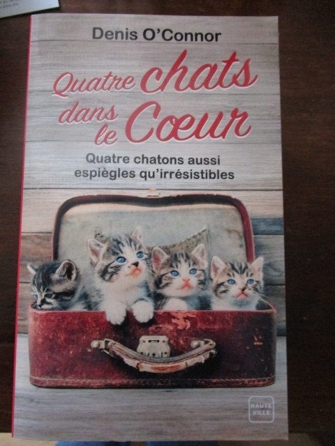 Livre "Quatre chats dans le coeur" Denis O'Connor (Poche), Enlèvement ou Envoi, Comme neuf, Belgique